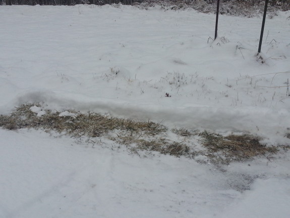 Mysterious Hole in Snow Picture Writing Prompts – Lisa's Writopia